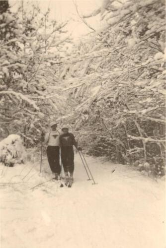 Eltern auf Ski