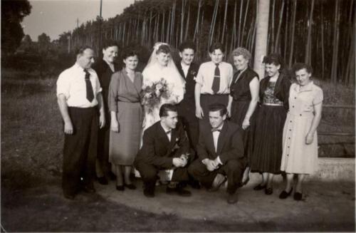 Hochzeit-Eltern-Schwestern-und-1954